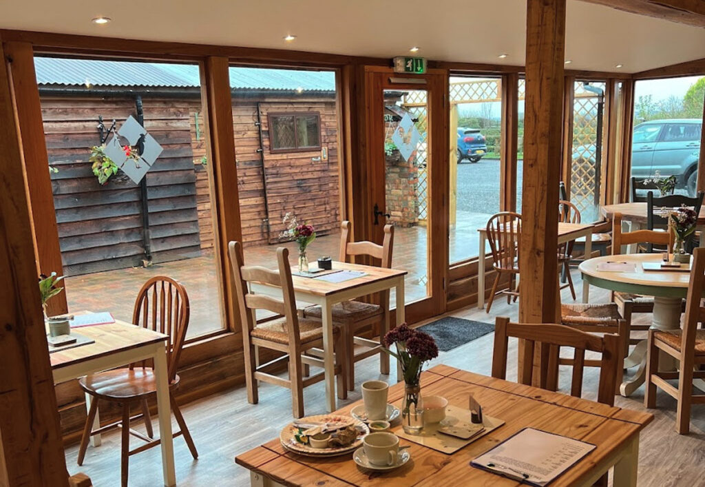 Inside eating area of tea room. Wooden table and chairs, large wooden beams in ceiling. Full wall window view of farm shop and parking area